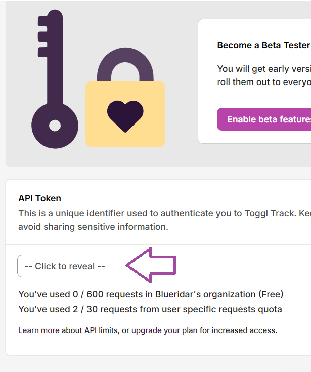 tap and reveal toggl api token